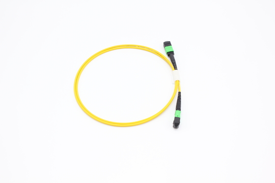 OM3 / OM4 MPO Bağlantısı 12 Fiber MPO Kök Kablo 8/12/24F MTP MPO Kablo Veri Merkezi Odası için